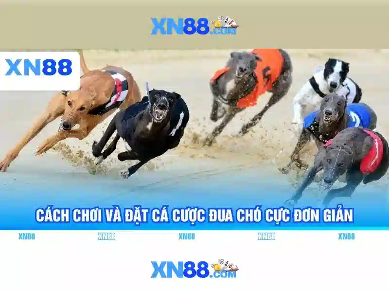 💎888slot app game 888slot💎