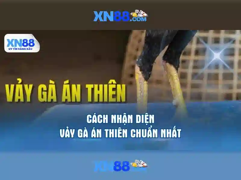 💎mức xử phạt hành chính tội đánh bạc 2019💎