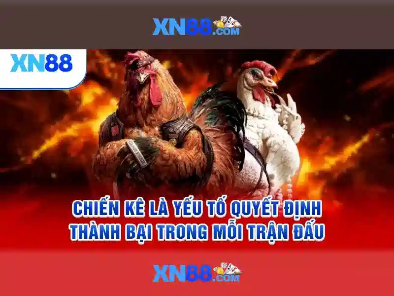 💎xem bong da trực tiếp keo nha cai💎
