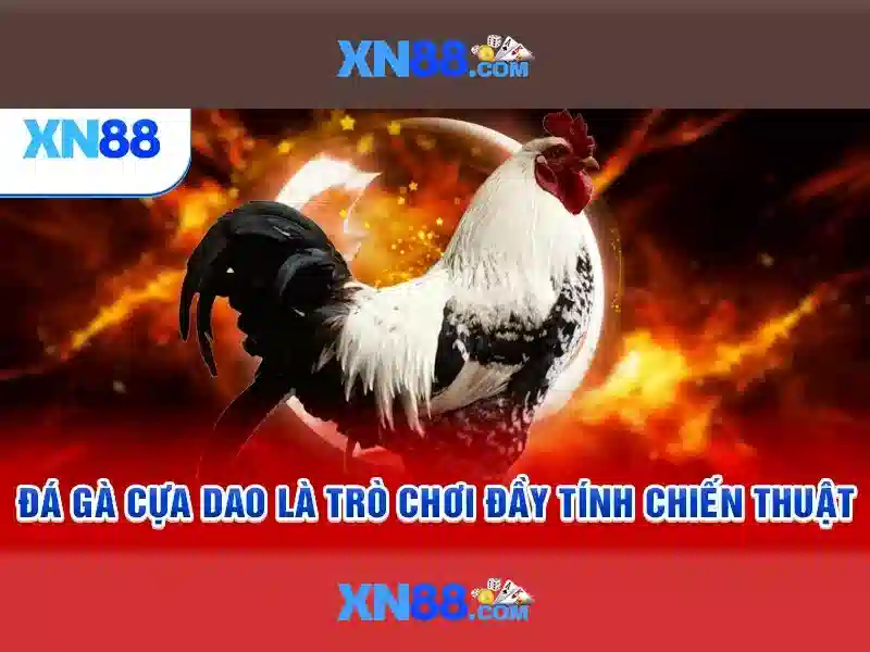 💎cách rút tiền sin88💎 - sin88 team - sin88 ogr