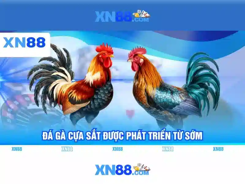 💎kèo nhà cái 5 bongdaso💎
