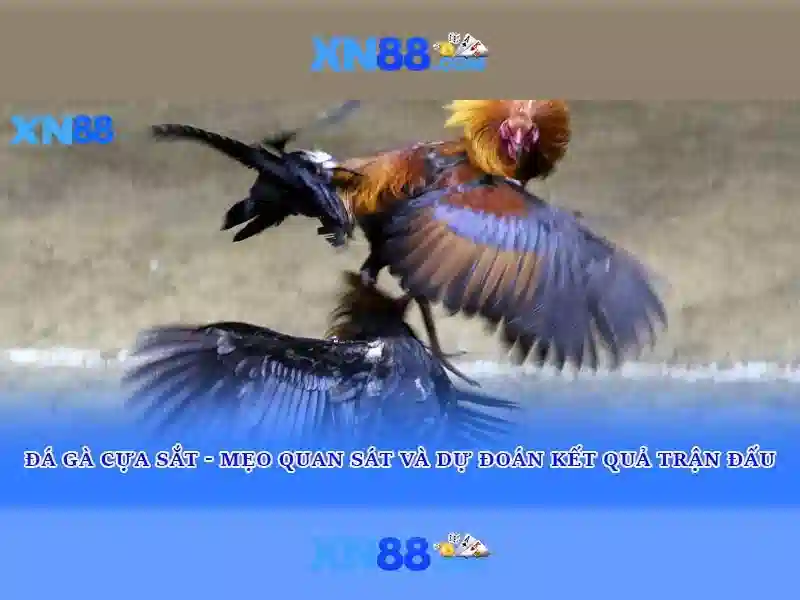 💎888 slot play demo💎