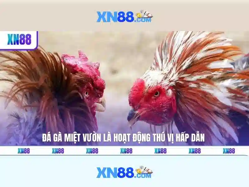 💎hb88 wiki💎 - hb88 service cn com - hb88 app hb88