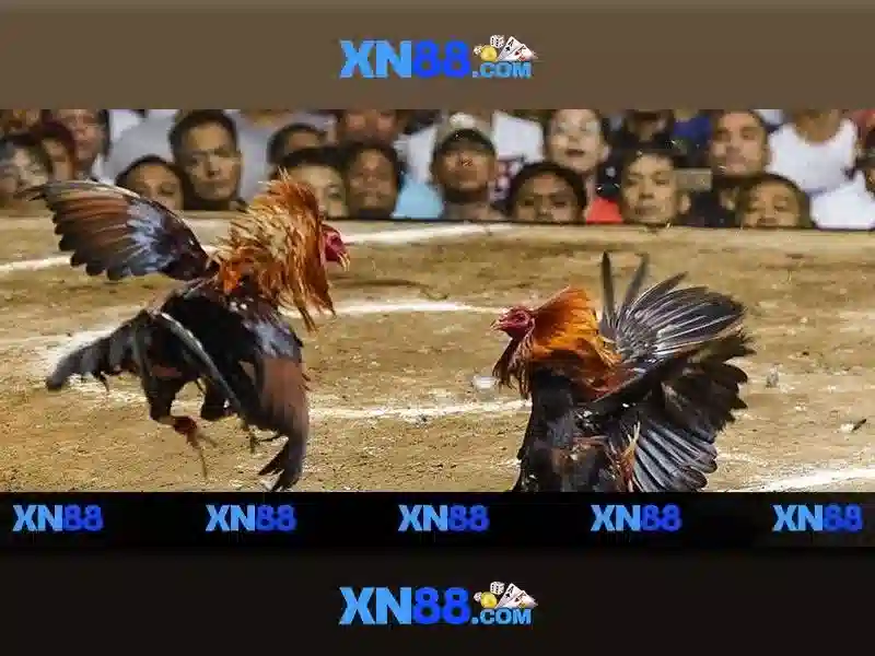 💎kèo nhà cái trận ý vs áo💎