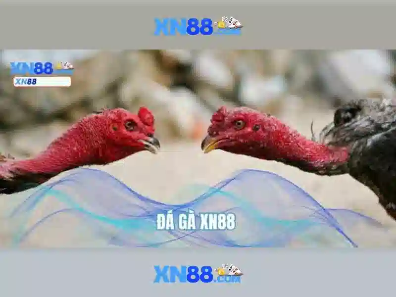 💎tỷ lệ cá cược phap💎