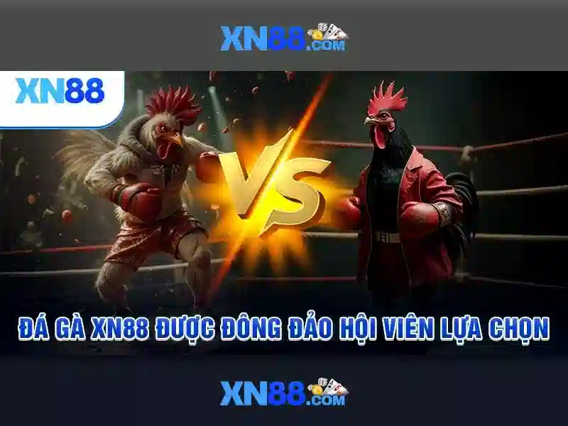 xn88 có uy tín không - XN88