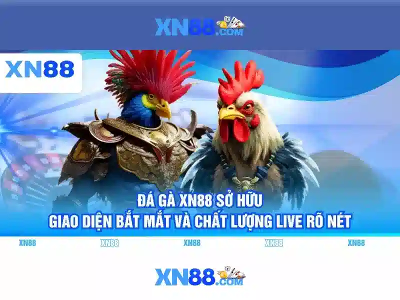 💎tỷ lệ cá cược euro 24💎