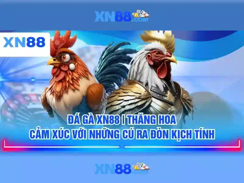 💎nhà cái 88 nhacai88💎