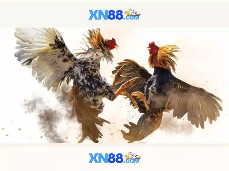 💎888 slot chin shi huang💎