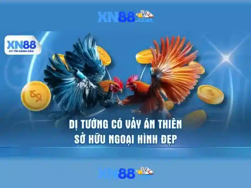 💎dd xsmb 888💎