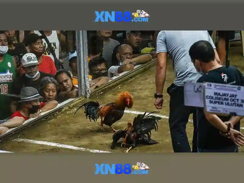 💎joy 888slot casino💎