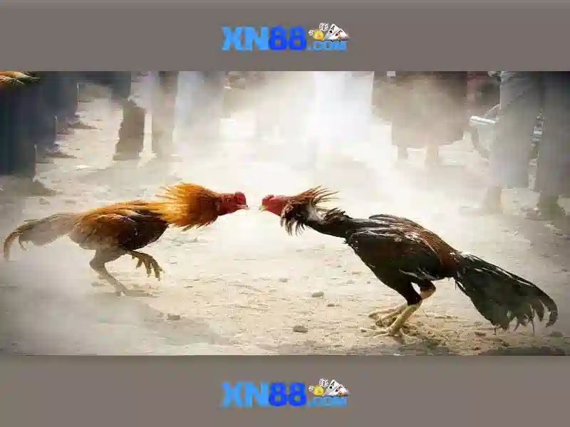 💎khách sạn sòng bạc hy lạp💎