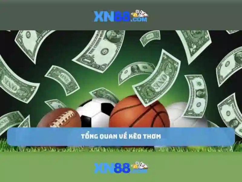 💎nhà cái uy tinns💎