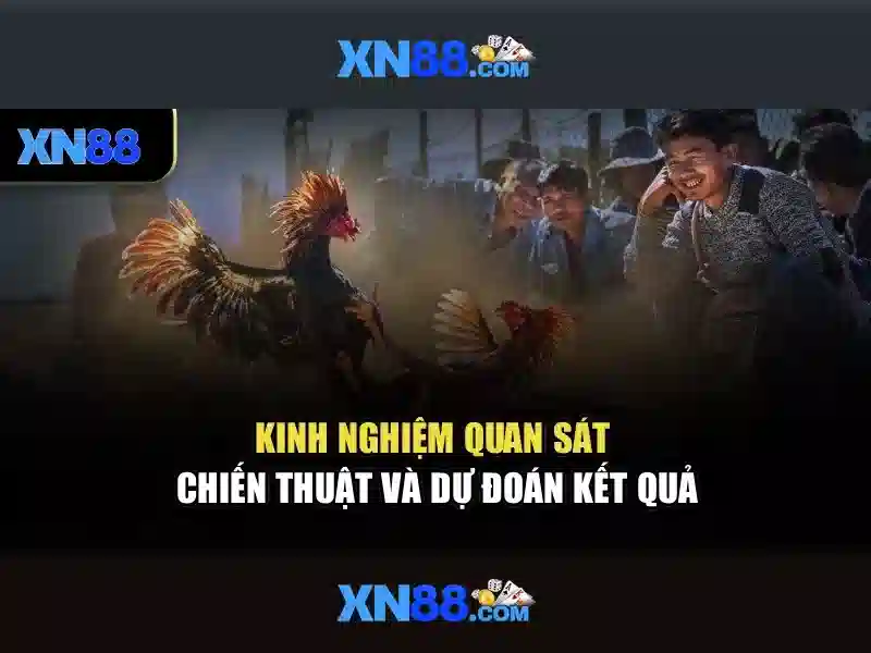 💎cá cược xổ số nansulate💎