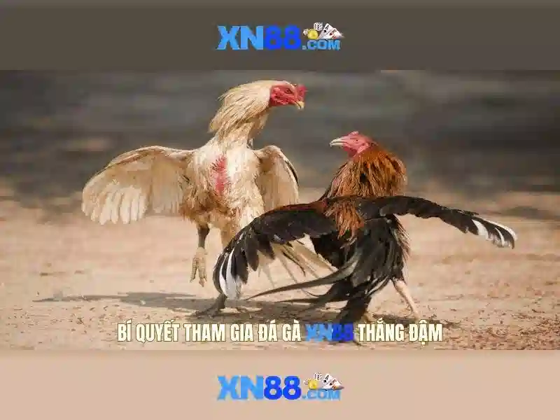 💎slot lady sarah bio💎