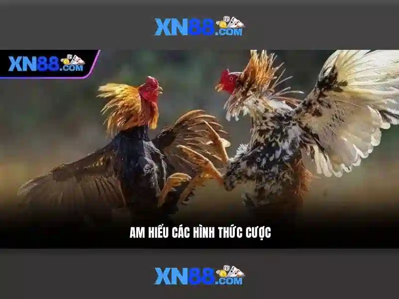 💎tỷ lê cá cược bóng đá hôm nay💎