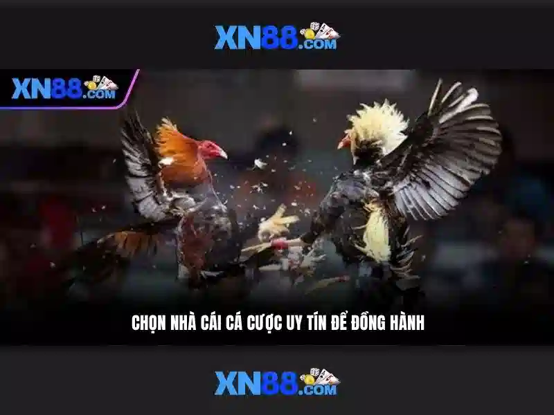 💎hb88 slot vs michael oliver💎