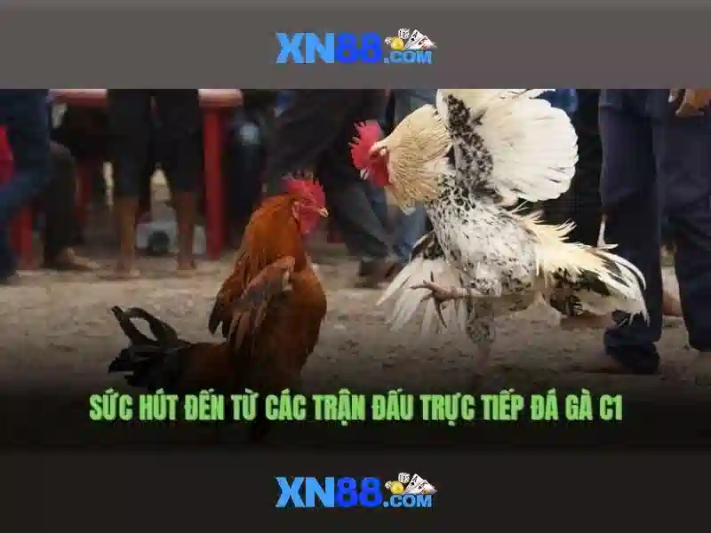 💎nhà cái số 1nhacai88💎