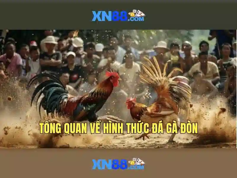 💎tỷ lệ kèo nhà cái 5 ⭐️💎