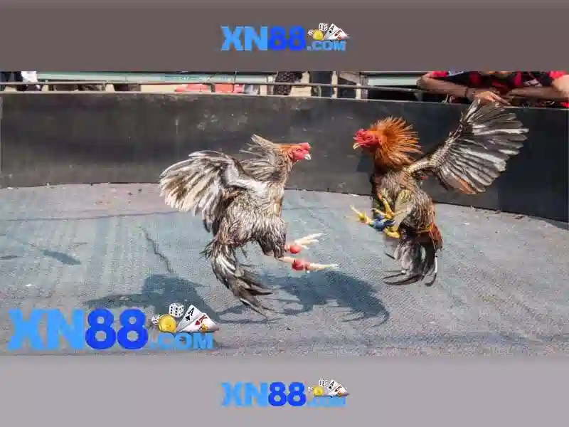 💎liverpool hb88 slot tactics💎