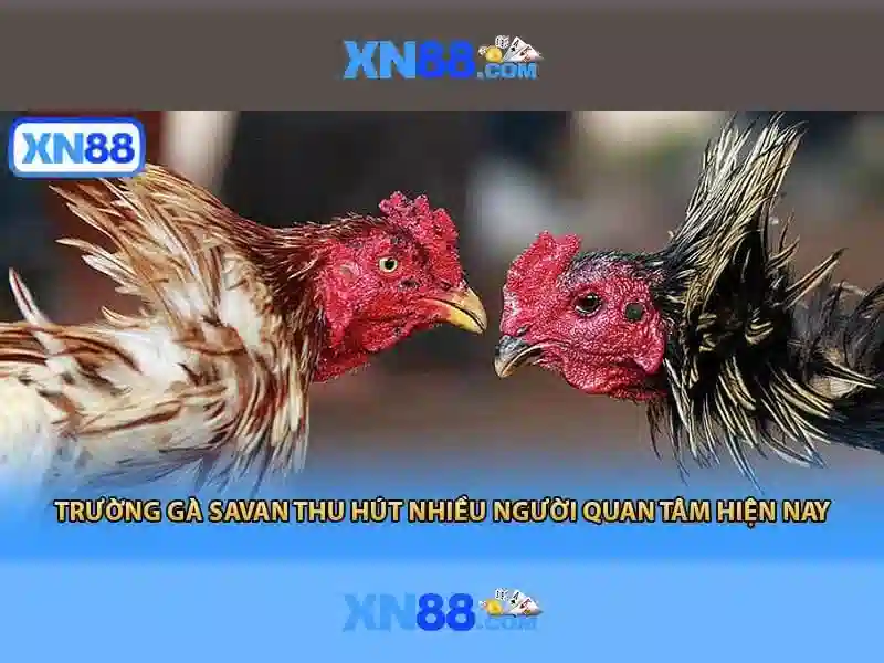 💎huỷ tất cả gói cước mobi💎