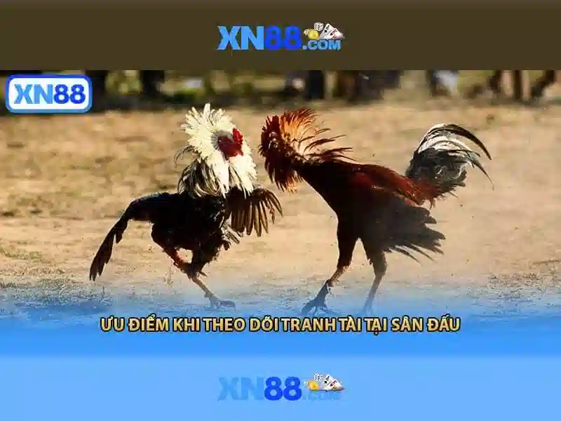 💎macchinette slot gratis live💎