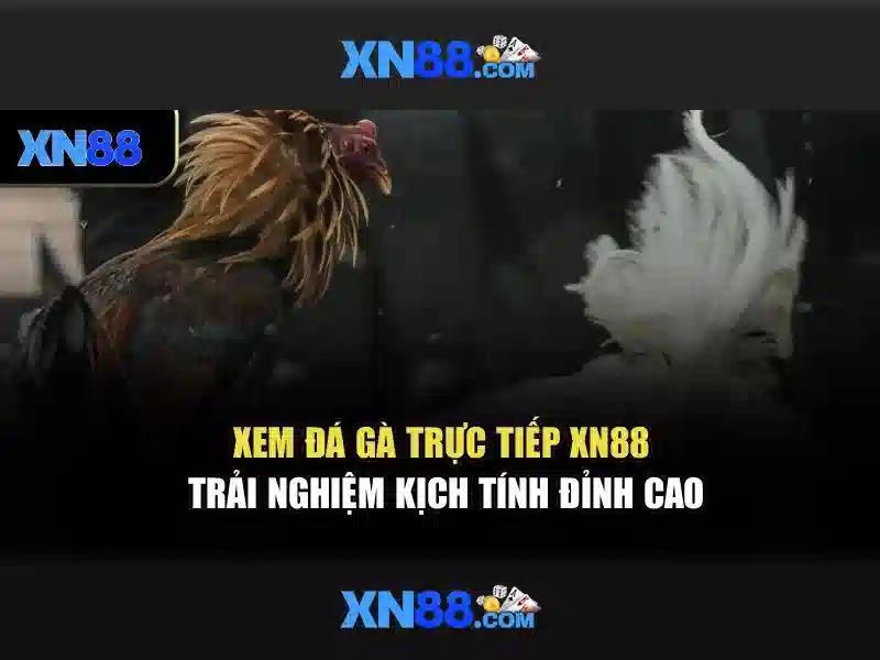 💎top 5 app cá cược bóng đá uy💎