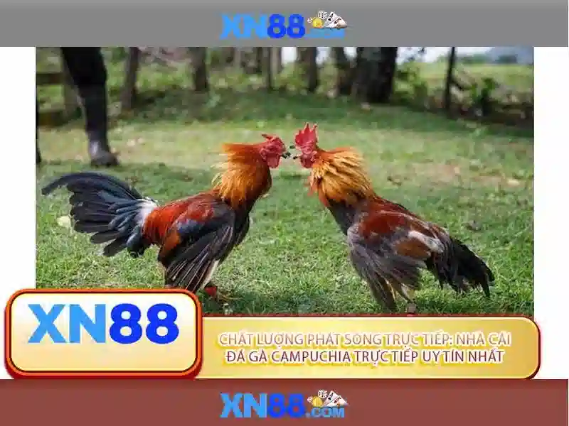 💎nhà cái khuyến mãi cược miễn phí 88k💎