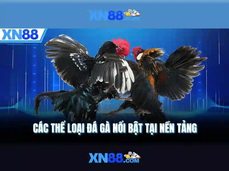 💎linhk nha cai💎