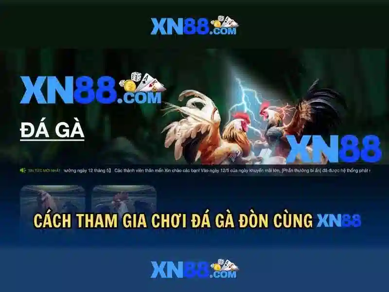 💎big bonus slot💎