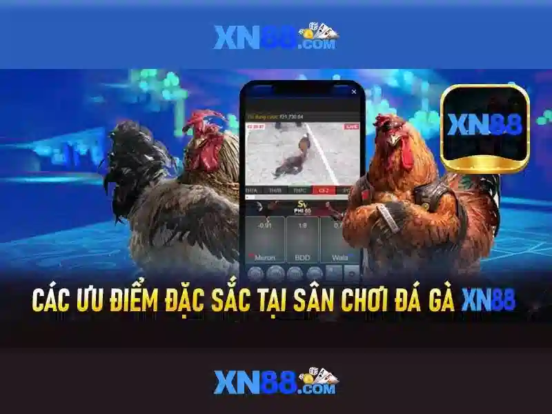 💎tu le keo nha cai💎