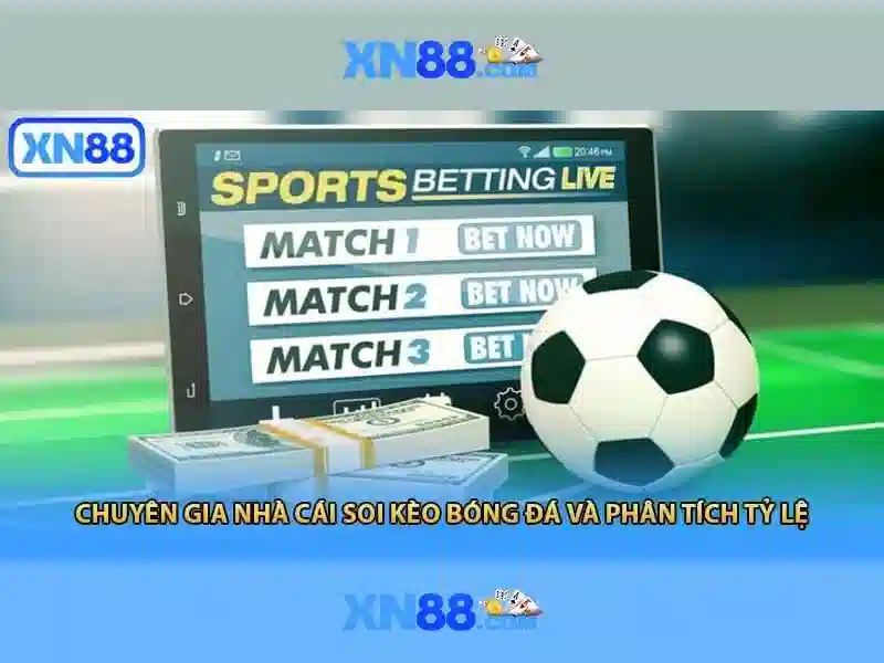 💎nhà cái uy tin226.com💎