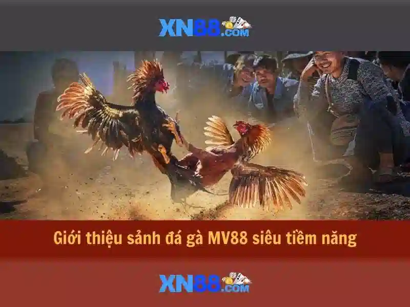 💎kèo nha cai tivi💎