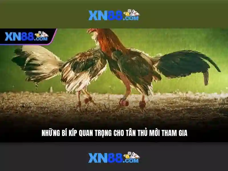 💎nhà cái.💎