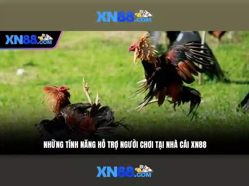💎kèo nhà cái xem đá bóng trực tuyến💎