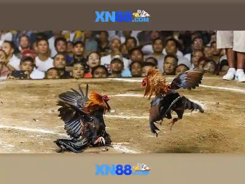 💎888 slot slot psg💎