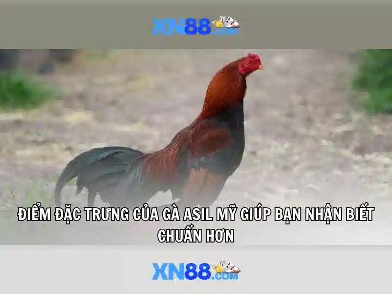 💎kilicho 888 slot yanga leo💎