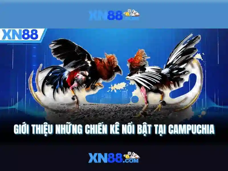 xn88 google play - XN88