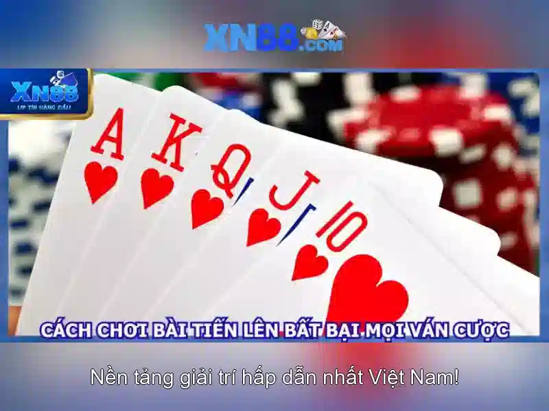 💎link xn88 blog💎