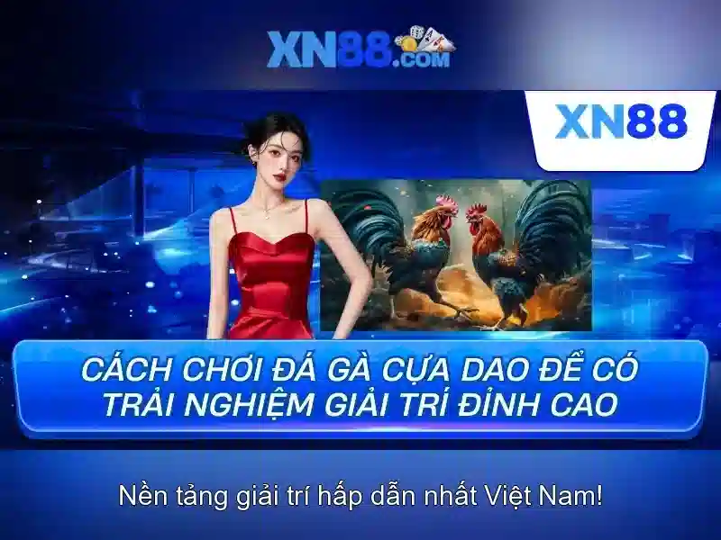 💎trang cá cược uy tín vaobong9999💎