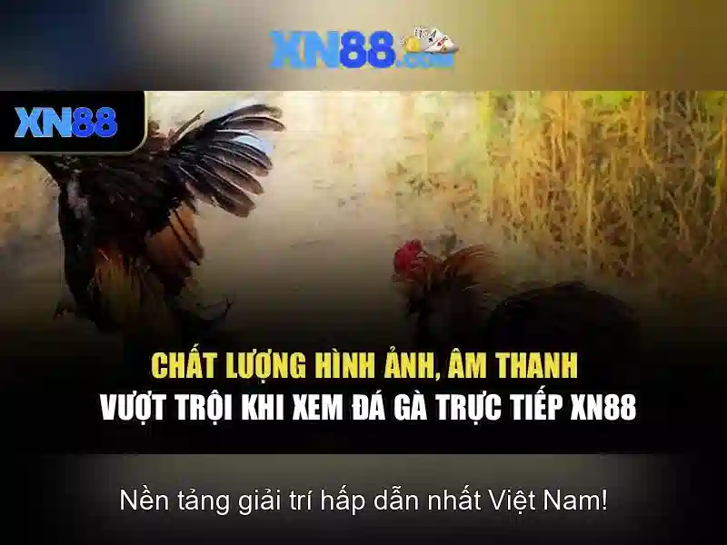 💎nổ hũ trúng lớn đổi đời đổi vận cùng hb88💎