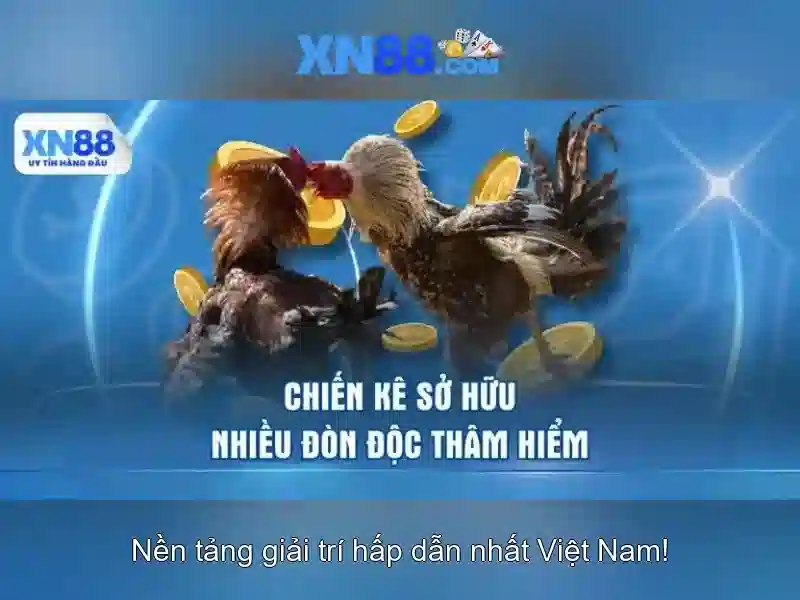 💎broholm slot værelser💎