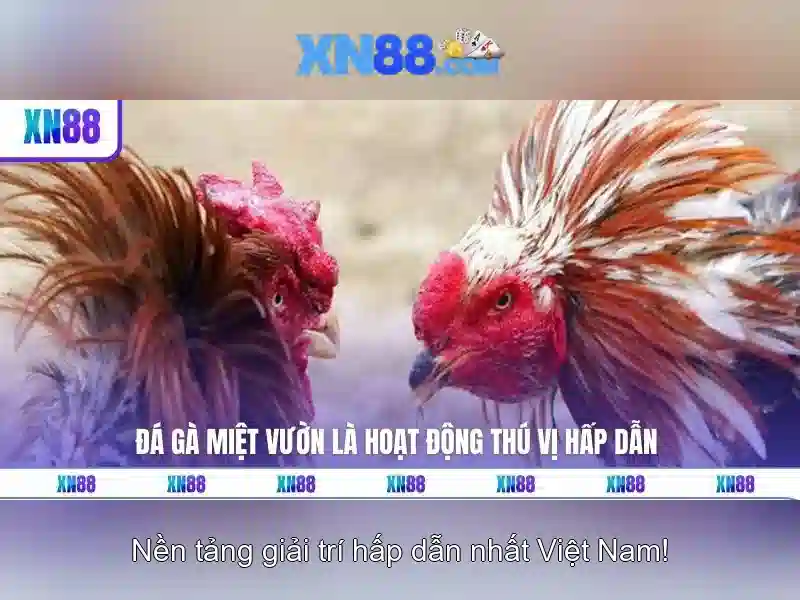 💎trường thpt bắc lương sơn đánh giá💎