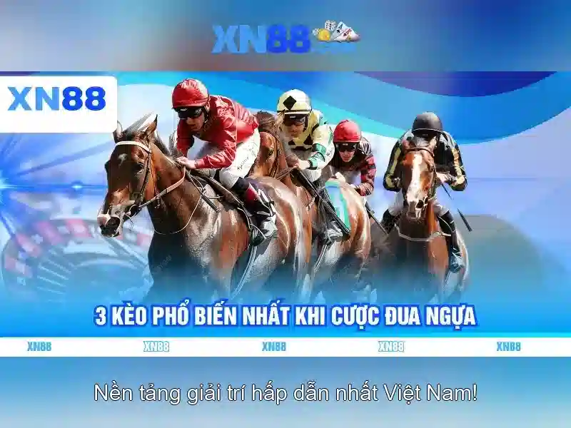 💎xn88 app login💎