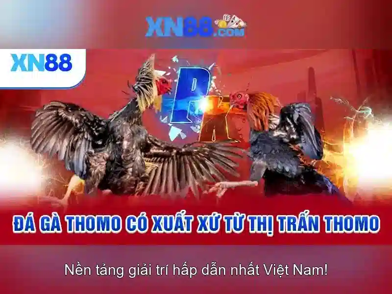 💎jun88 nhà cái khuyến mãi nhất 2023💎