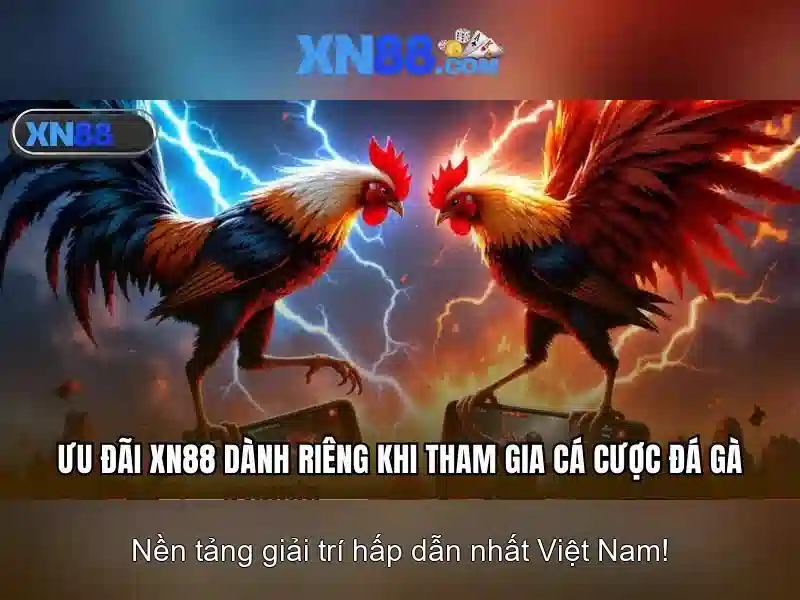 💎nhà cái typhu 88💎