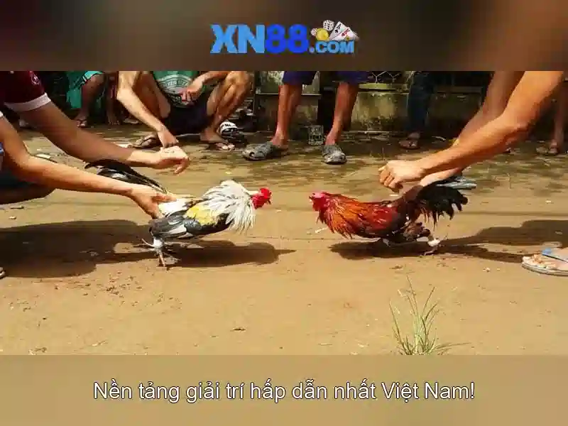 💎cho thuê nhà lê bình cái răng💎