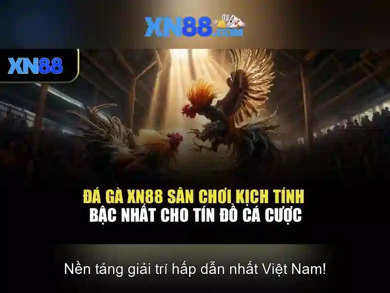 💎nhà cái uy tín nhất việt nam bmktx💎
