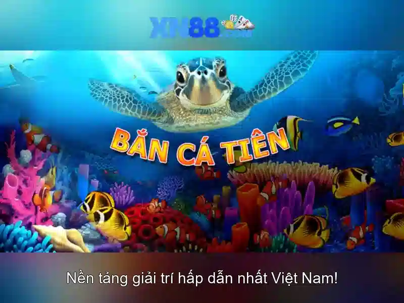 💎nhip song tay bac moi nhat💎