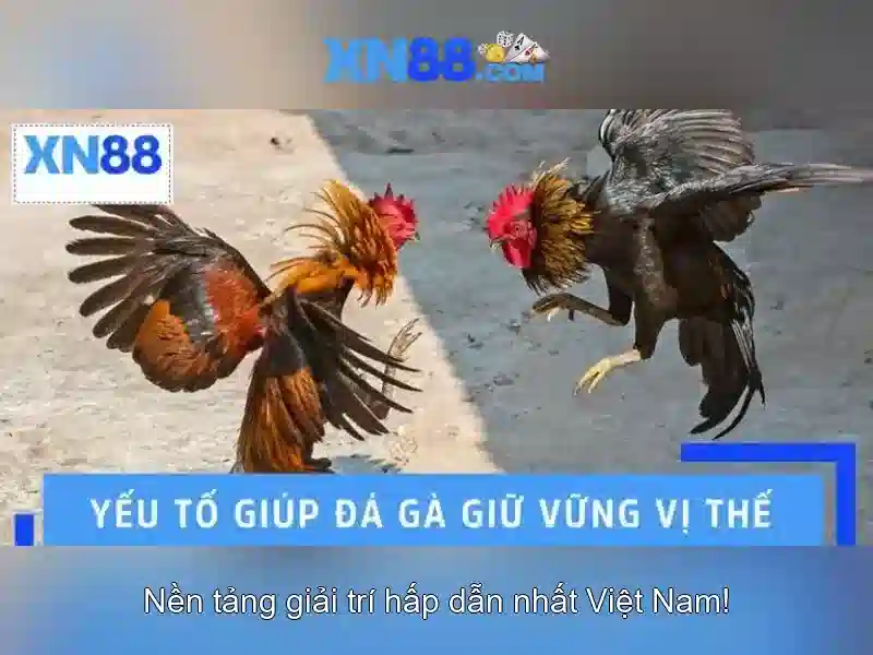 💎bd nhận định kèo nhà cái 5💎